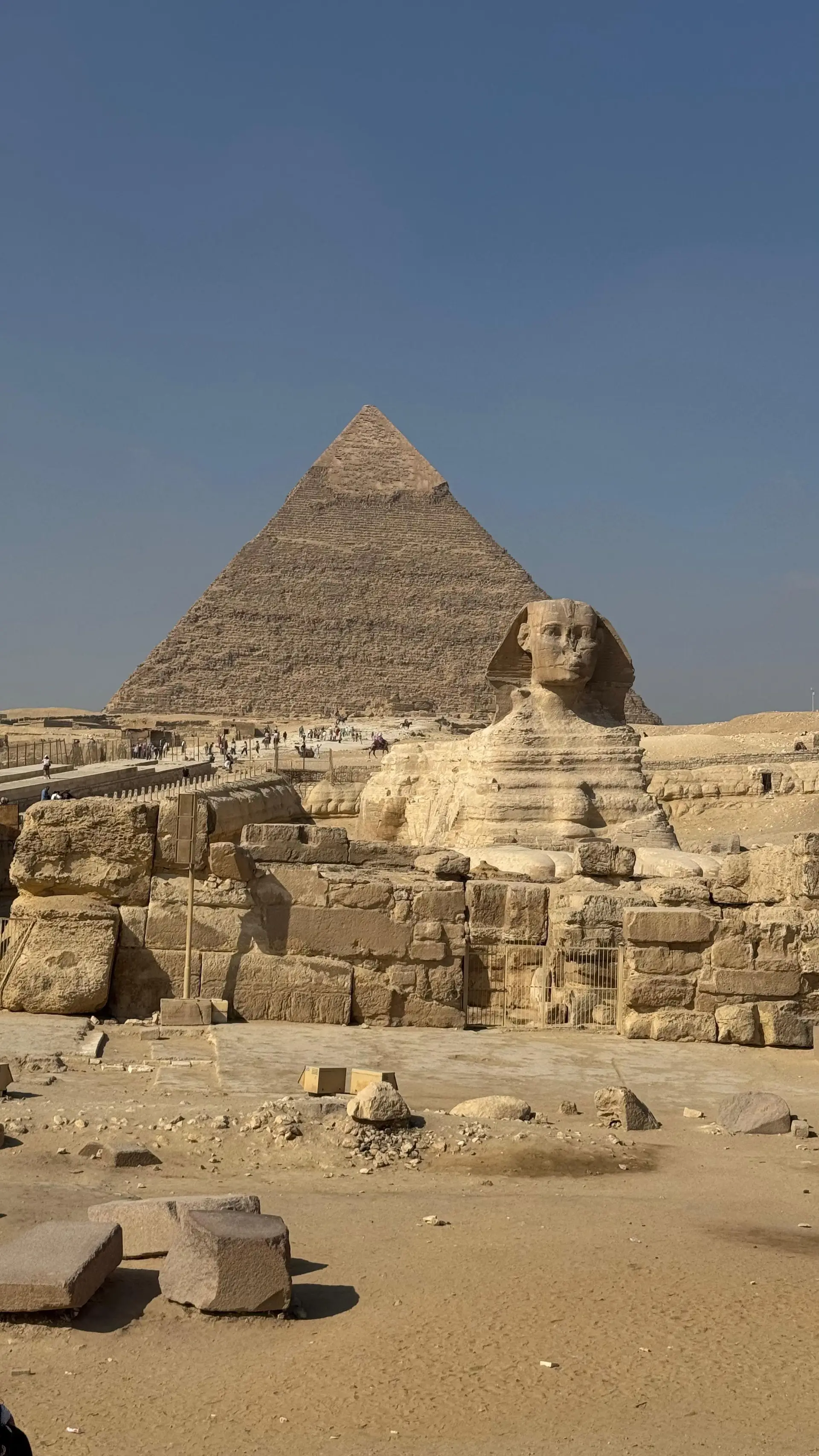 Egyptian Museum in Cairo