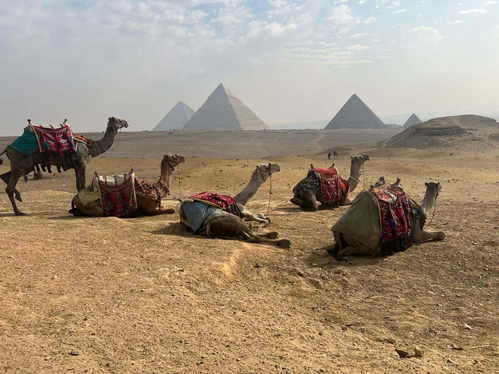 The Pyramids of Giza in the sunlight