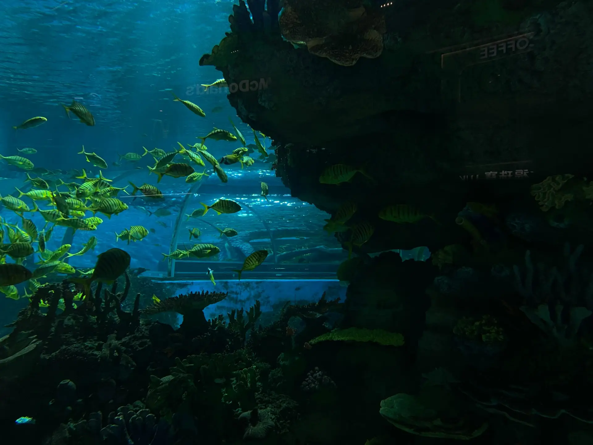 Haibecken im Grand Aquarium Hurghada