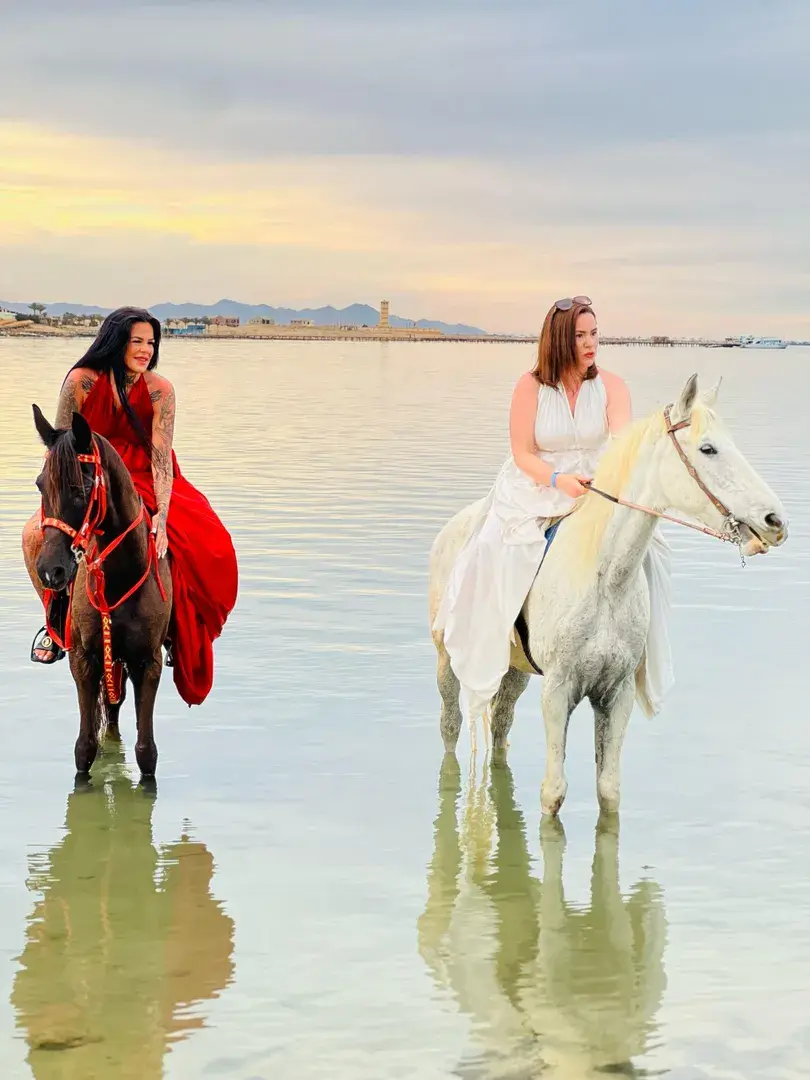 Pferde beim Ausritt am Strand des Roten Meeres